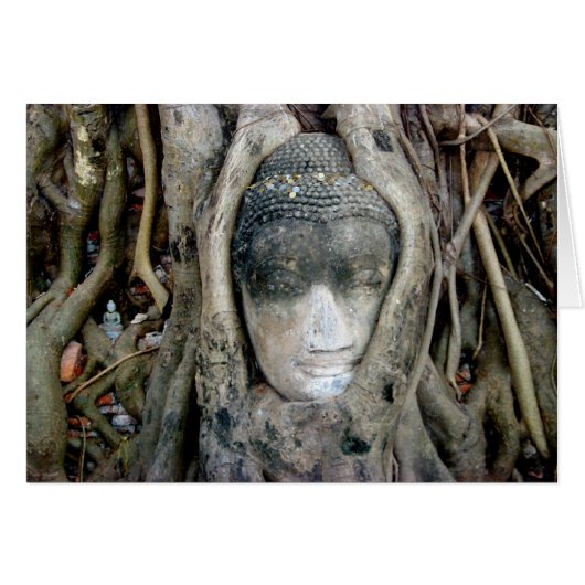 Buddha Head Cards (Front Horizontal)