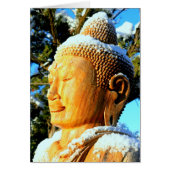 Buddha head in snow (Front)