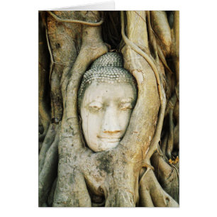 Buddha Head in the Fig Tree .. Ayutthaya, Thailand Cards