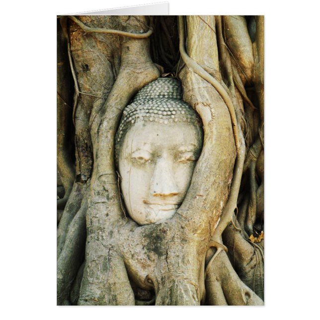 Buddha Head in the Fig Tree .. Ayutthaya, Thailand Cards (Front)