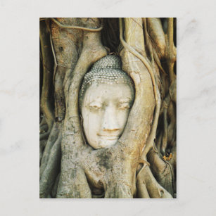 Buddha Head in the Fig Tree .. Ayutthaya, Thailand Postcard