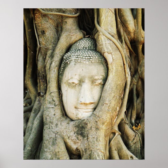 Buddha Head in the Fig Tree .. Ayutthaya, Thailand Poster (Front)