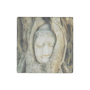 Buddha Head in the Fig Tree .. Ayutthaya, Thailand Stone Magnet