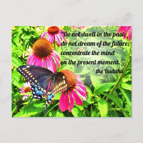 Buddha Quote Black Swallowtail Butterfly Flowers Postcard