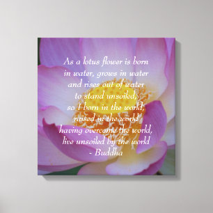 Buddha quote Lotus flower Canvas Print