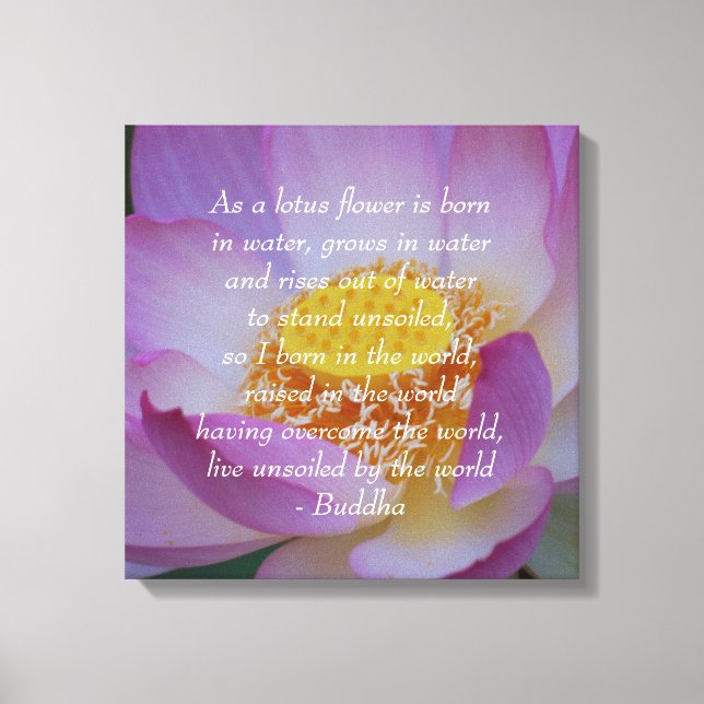 Buddha quote Lotus flower Canvas Print (Front)
