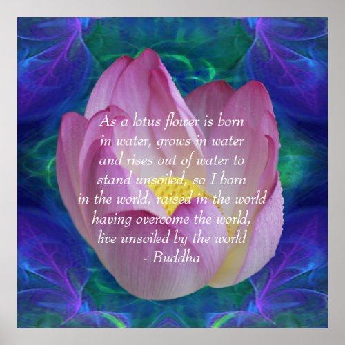 Buddha quote Lotus flower Poster