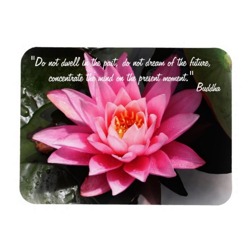 Buddha Quotes  Lotus Flower  Nature Meditation Magnet