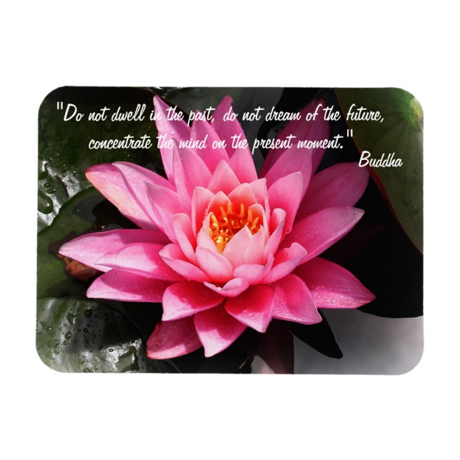 Buddha Quotes & Lotus Flower / Nature Meditation Magnet (Horizontal)