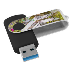 Buddha statues at Senko-ji temple Flash Drive