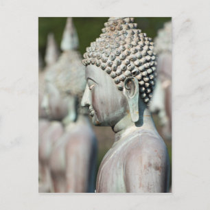 Buddha Statues, Colombo, Sri Lanka Postcard