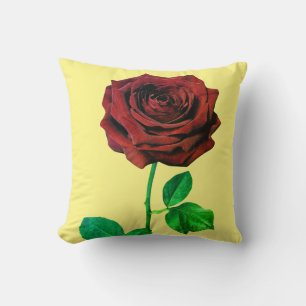 BuddhaToday V1 #38 Peace Pillow 🌹 + Quote 