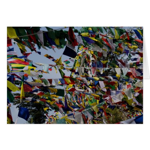 Buddhist Prayer Flags in the Breeze