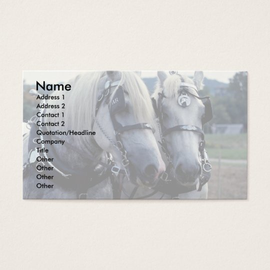 horses and dog business card