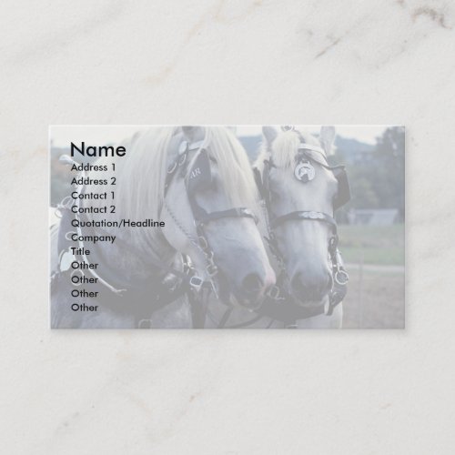 Buddies, horse team business card