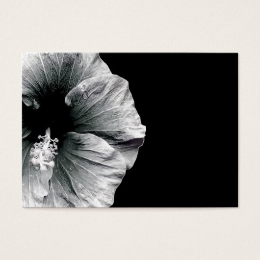 Budding Beauty (Front)