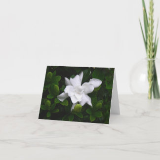 Budding Gardenias Floral Notecard