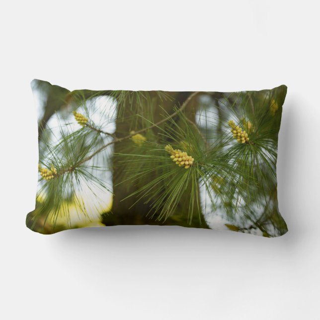 Budding Pine Tree Lumbar Pillow (Front)