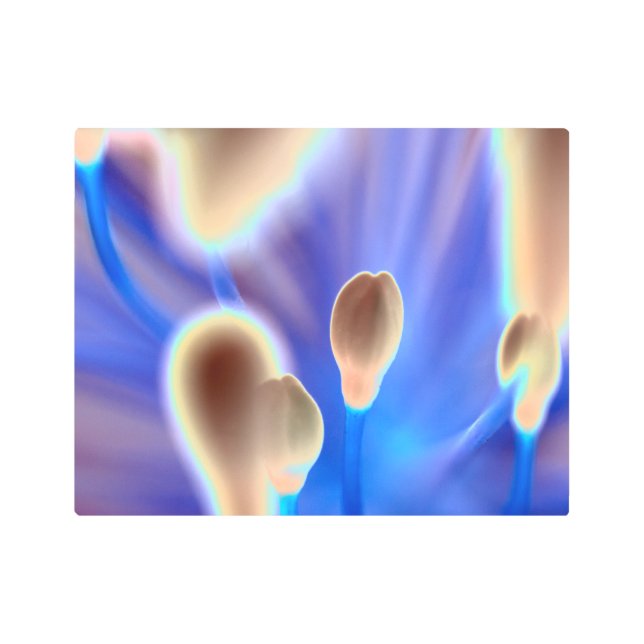 Budding Space Flowers Floral Print Metal Wall Art (Front)