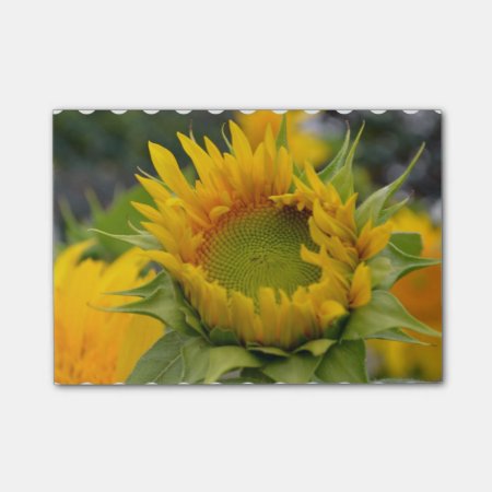 Budding Sunflower Post-it Notes