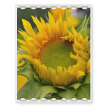 Budding Sunflower Temporary Tattoos
