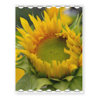 Budding Sunflower Temporary Tattoos