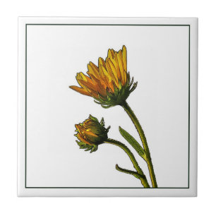 Budding Sunflowers Photo Ceramic Tile