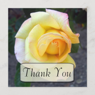 Budding Yellow Rose Thank You Cards