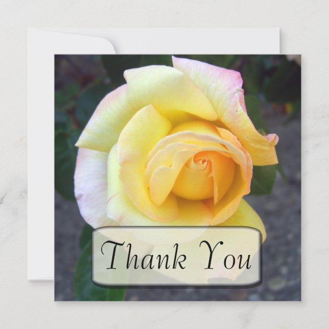 Budding Yellow Rose Thank You Cards (Front)