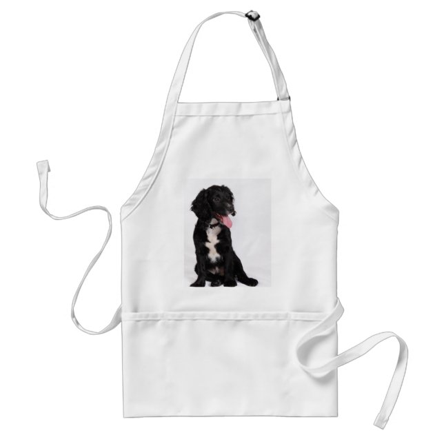 Buddy Adult Apron (Front)