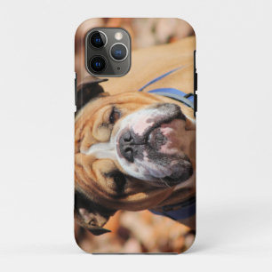 Buddy Bulldog  iPhone 11 Pro Case