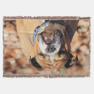 Buddy bulldog  throw blanket