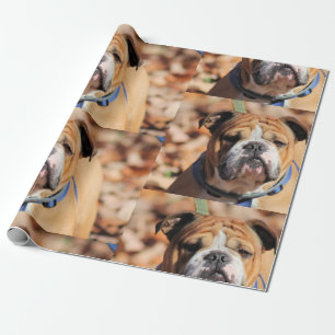 Buddy Bulldog Wrapping Paper