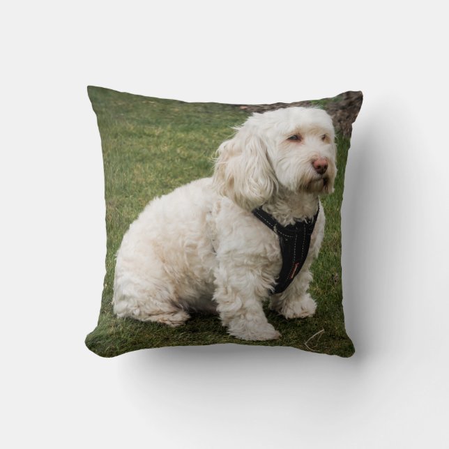 Buddy Throw Pillow (Front)