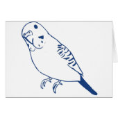 Budgerigar (Front Horizontal)