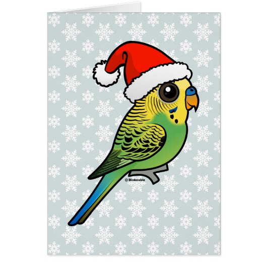 Budgerigar Santa Claus Cards (Front)