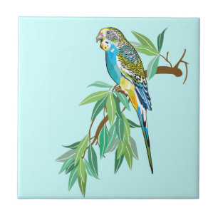 budgerigar tile