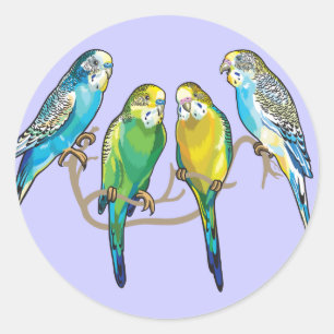 budgerigars classic round sticker