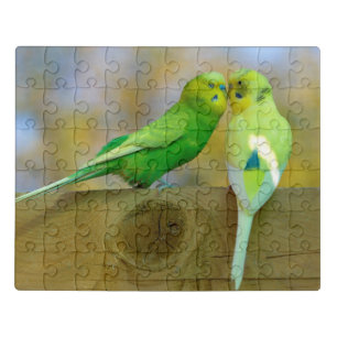 Budgerigars perched face to face jigsaw puzzle
