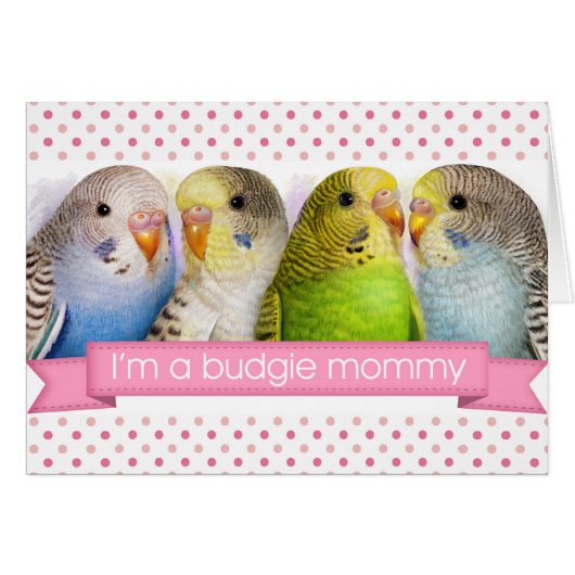 Budgerigars realistic painting (Front Horizontal)