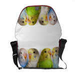 I'm A Budgie Mommy Realistic Painting Messenger Bag