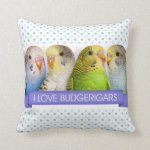 I Love Budgerigars Realistic Painting Pillow