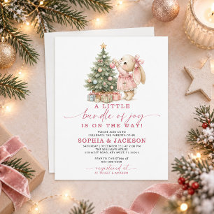Budget A Little Bundle of Joy Bunny Baby Shower