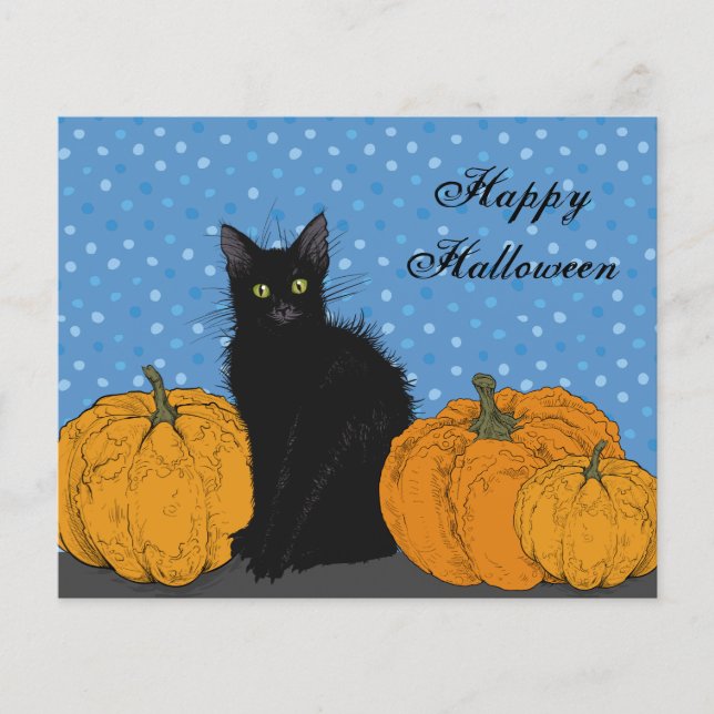 BUDGET Black Cat and Pumpkins Halloween Card (Front)