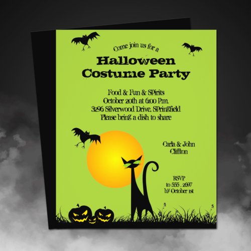 Budget Black Cat Halloween Invitation Flyer