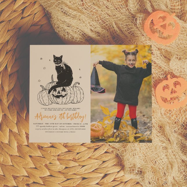 Budget Black Cat Halloween Pumpkin Photo Birthday (Creator Uploaded)