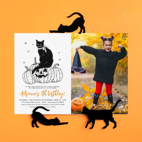 Budget Black Cat Halloween Pumpkin Photo Birthday