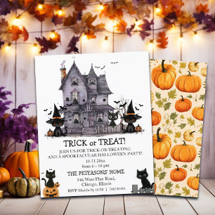 Budget Black Cats Trick or Treat Kids Invitation