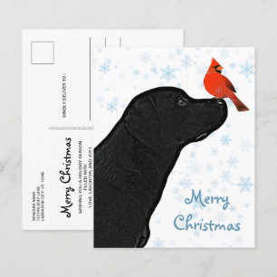 Budget Black Labrador Cardinal Christmas Postcard