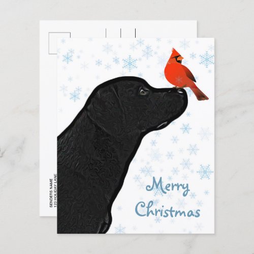 Budget Black Labrador Cardinal Christmas Postcard